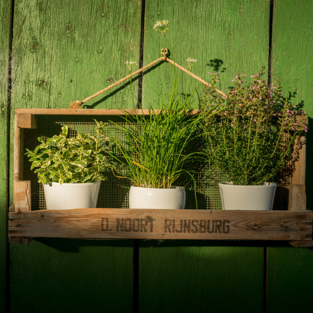 Breites Gartenregal aus Zwiebelsieb