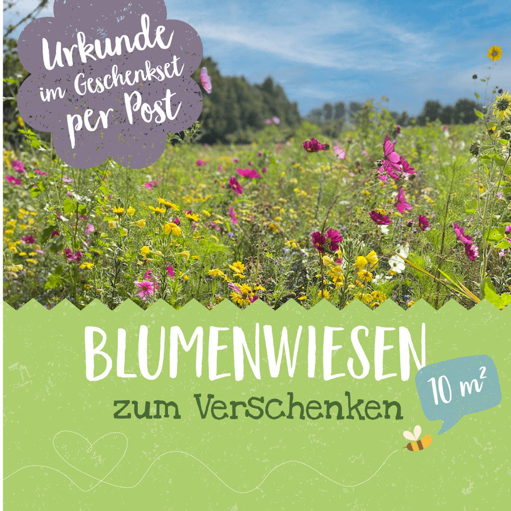 Blühpatenschafts-Geschenkset